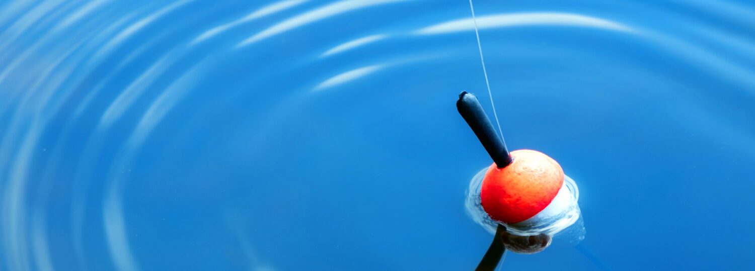 A fishing bobber floating in the water
