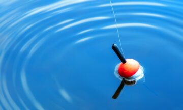 A fishing bobber floating in the water